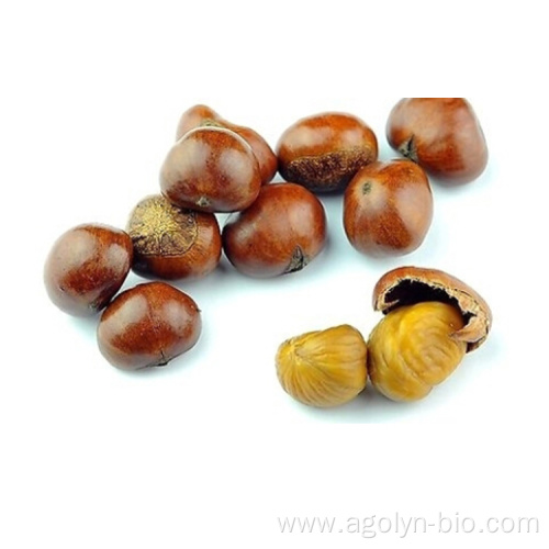 High Quality Roasted Peeled Chestnuts for Snacks